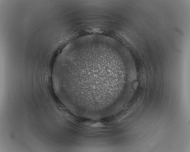 X0000113600747200910161905