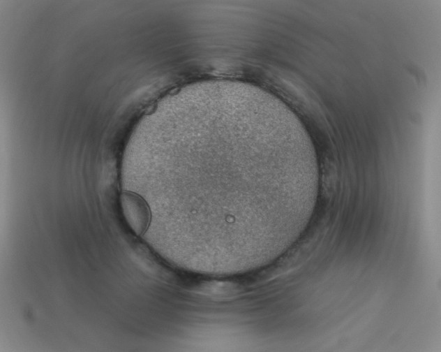 X0000113600748200910161905