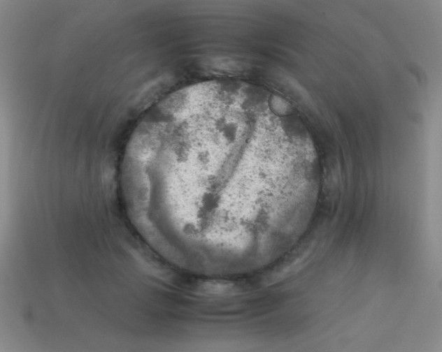 X0000113600749200910161905