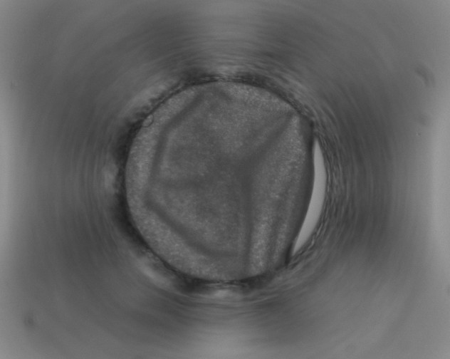 X0000113600750200910161905