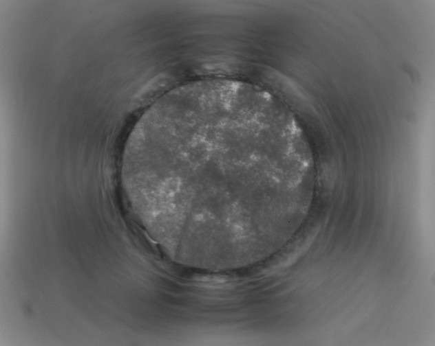 X0000113600751200910161905