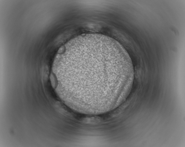 X0000113600752200910161905