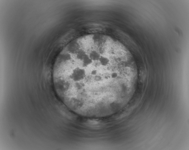 X0000113600753200910161905