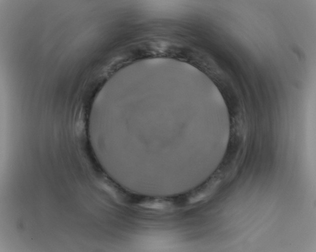 X0000113600754200910161905