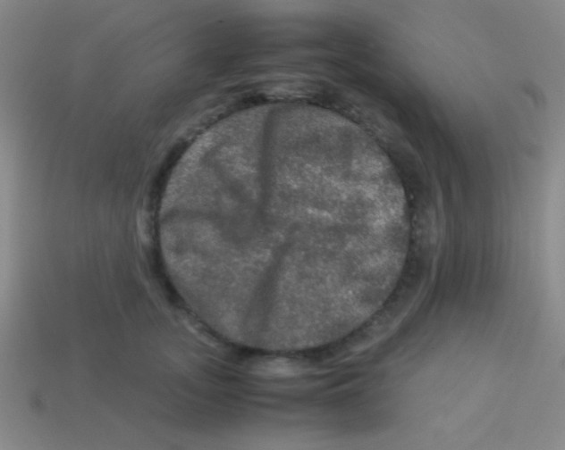 X0000113600755200910161905