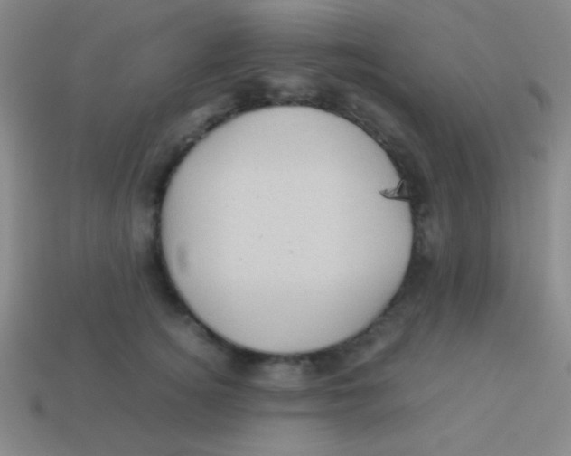 X0000113600756200910161905