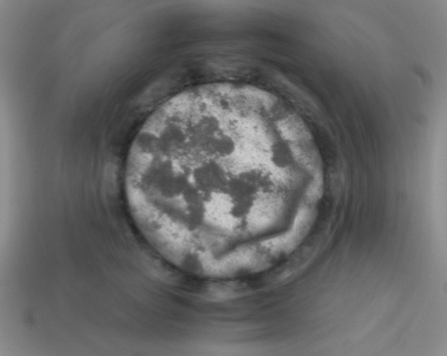 X0000113600757200910161905