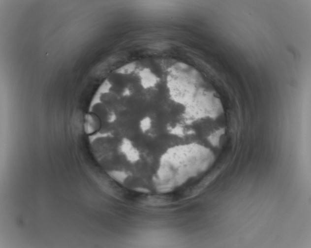 X0000113600758200910161905