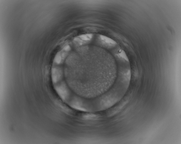 X0000113600759200910161905