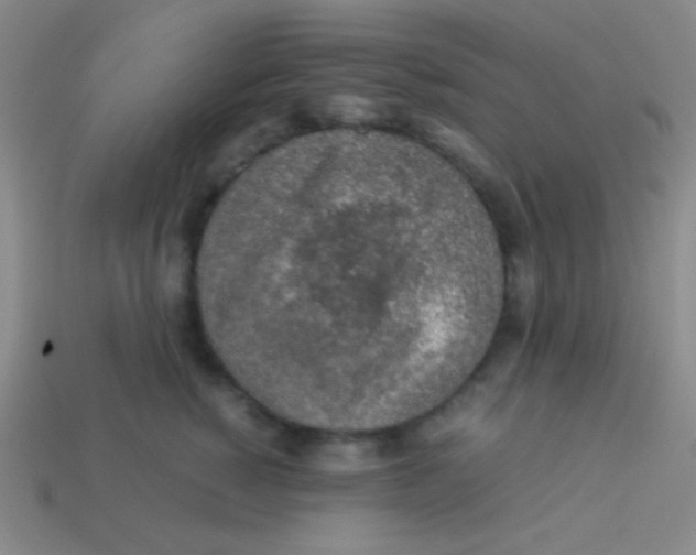 X0000113600760200910161905