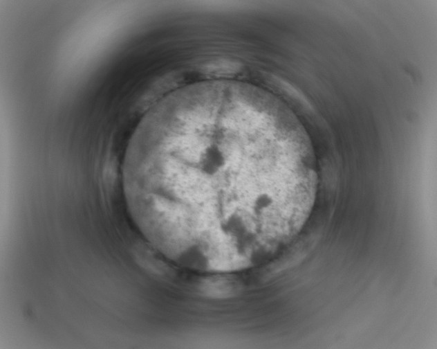 X0000113600761200910161905