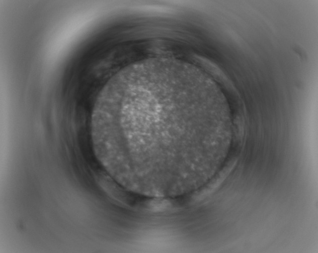 X0000113600762200910161905