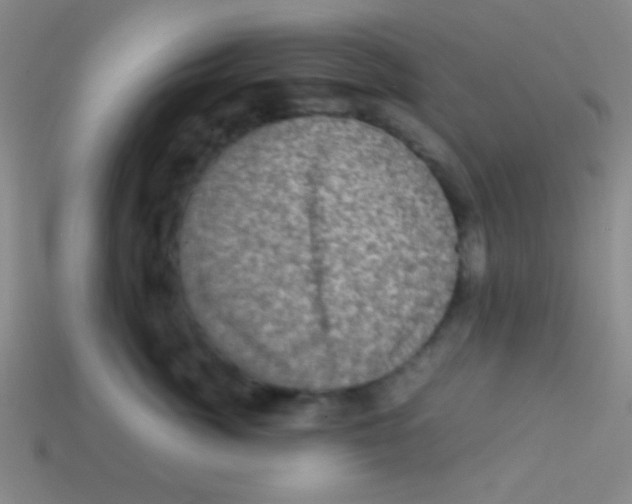 X0000113600764200910161905