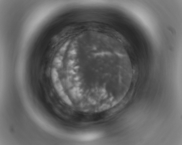 X0000113600765200910161905