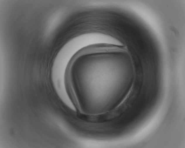 X0000113600766200910161905