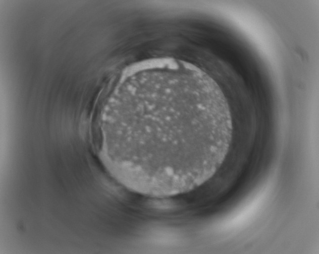 X0000113600767200910161905