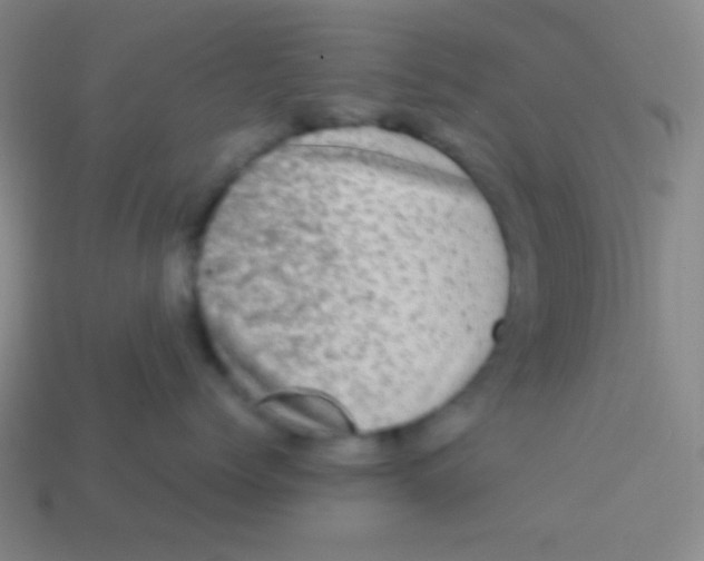 X0000113600768200910161905