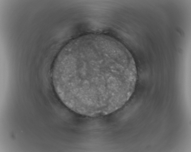 X0000113600769200910161904