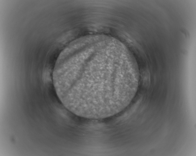 X0000113600770200910161904