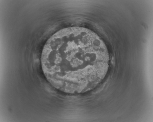 X0000113600771200910161904