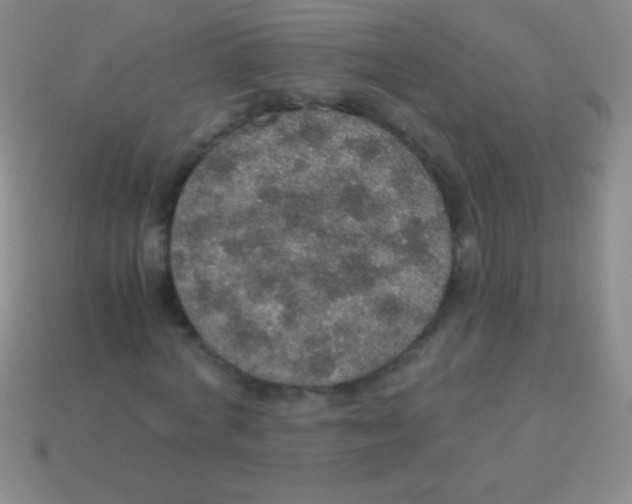 X0000113600772200910161904