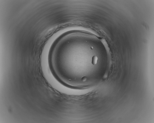 X0000113600773200910161904