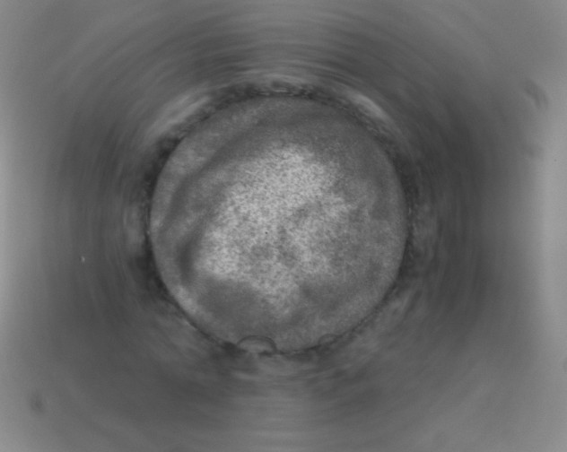 X0000113600774200910161904