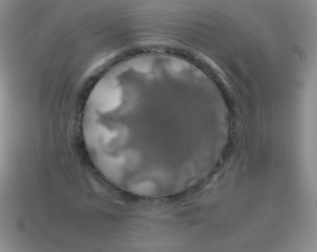 X0000113600775200910161904