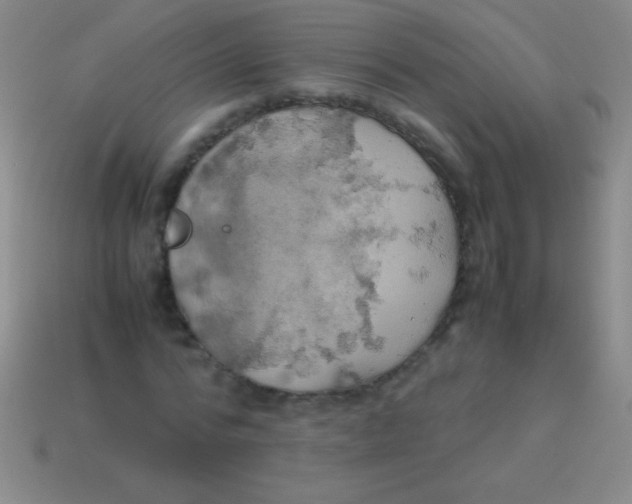 X0000113600776200910161904