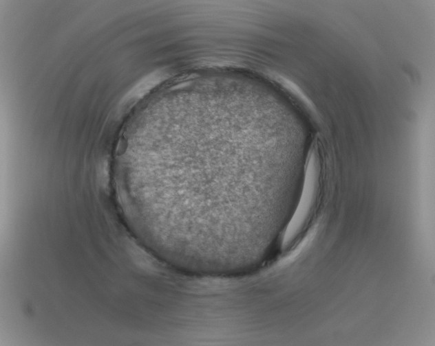 X0000113600777200910161904