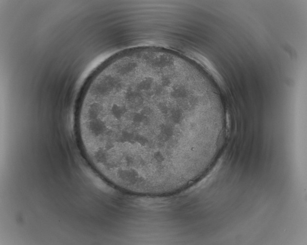 X0000113600780200910161904