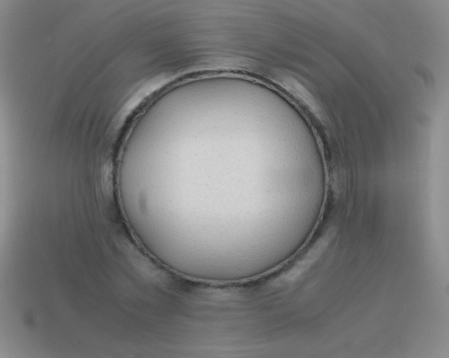 X0000113600781200910161904