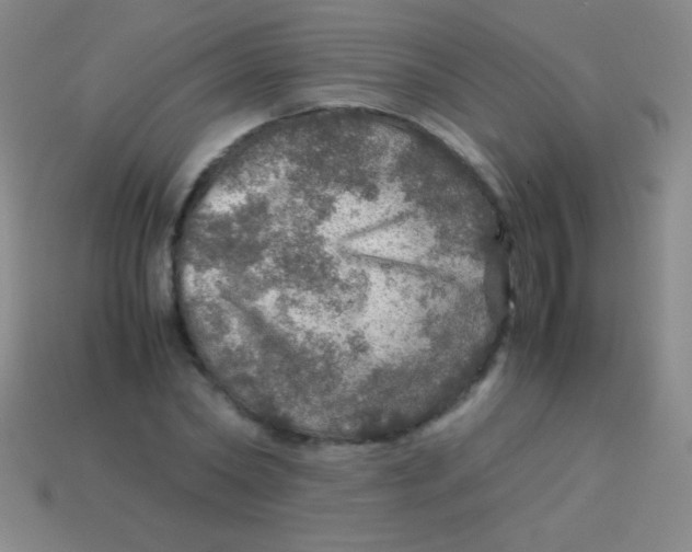 X0000113600782200910161904