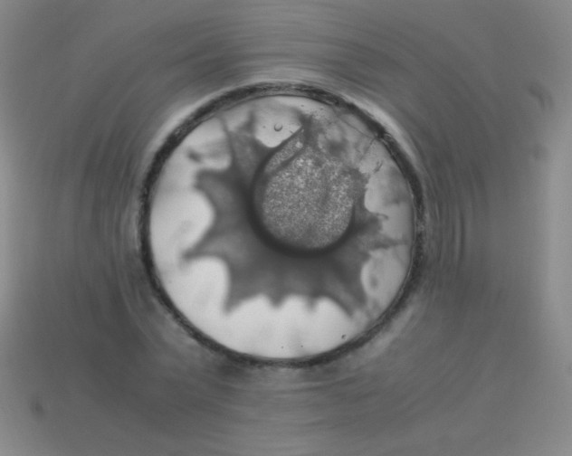 X0000113600783200910161904