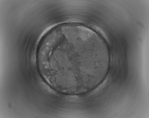 X0000113600784200910161904