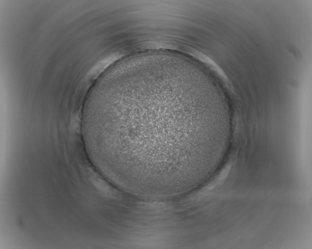 X0000113600785200910161904