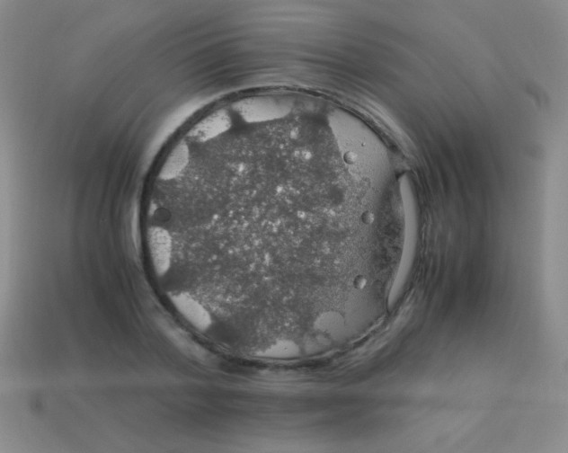 X0000113600788200910161904