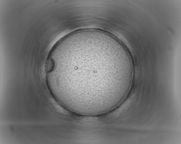 X0000113600789200910161904