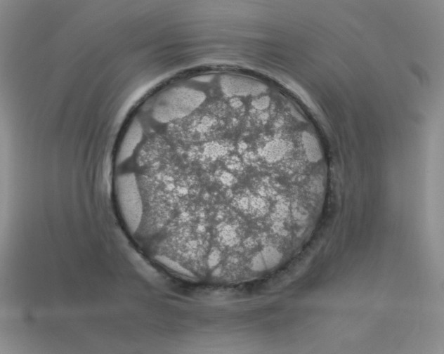 X0000113600791200910161904