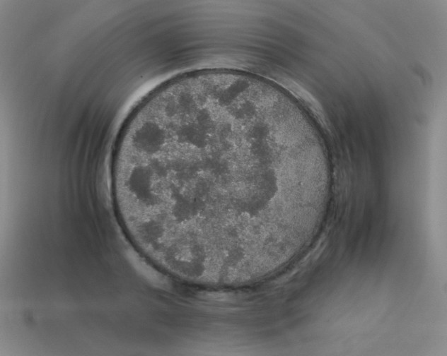 X0000113600792200910161904