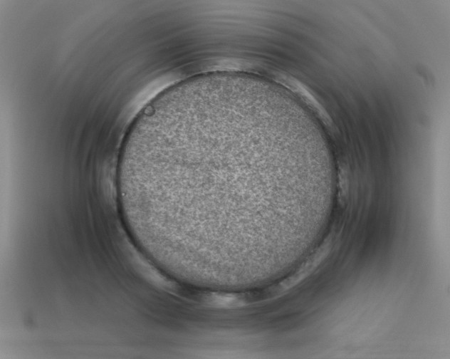 X0000113600794200910161904