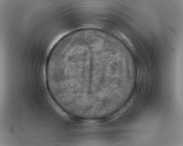 X0000113600796200910161904