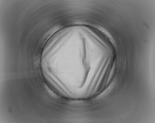 X0000113600801200910161904