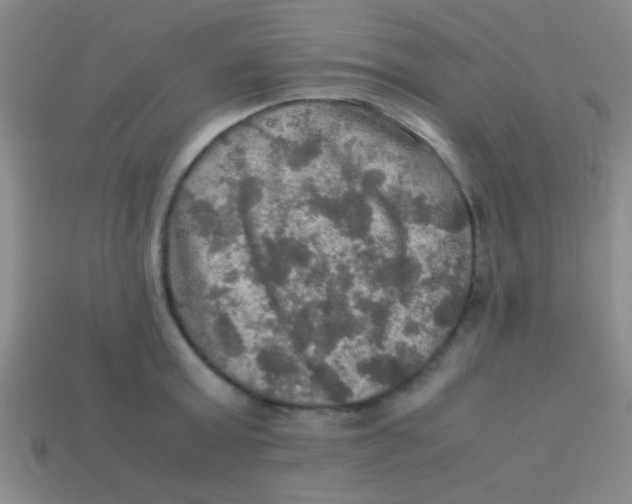 X0000113600803200910161904