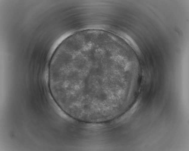 X0000113600804200910161904