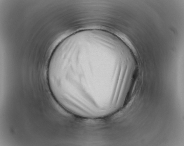 X0000113600805200910161904