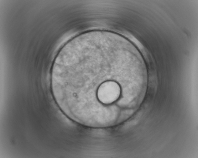 X0000113600807200910161904