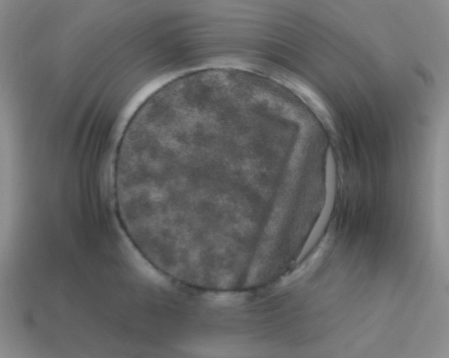 X0000113600808200910161904