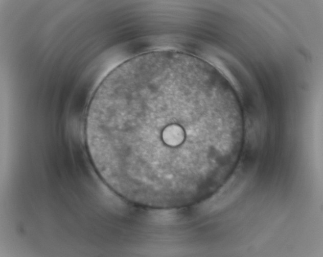 X0000113600810200910161904