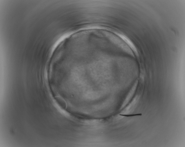 X0000113600813200910161904